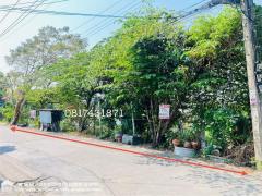 ขายที่ดิน ติดถนนซอยร่มโพธิ์ทอง2 บางกรวย-ไทรน้อย จ.นนทบุรี พื้นที่ 4 ไร่ 3 งาน 39.20 ตรว. แถมบ้านปลูกสร้างเอง 1 หลัง ใกล้ MRT บางพูด,บางรักใหญ่-202502081303481738994628620.jpeg