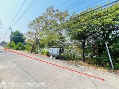 ขายที่ดิน ติดถนนซอยร่มโพธิ์ทอง2 บางกรวย-ไทรน้อย จ.นนทบุรี พื้นที่ 4 ไร่ 3 งาน 39.20 ตรว. แถมบ้านปลูกสร้างเอง 1 หลัง ใกล้ MRT บางพูด,บางรักใหญ่-202502081303491738994629519.jpeg