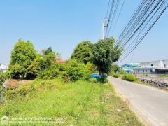 ขายที่ดิน ติดถนนซอยร่มโพธิ์ทอง2 บางกรวย-ไทรน้อย จ.นนทบุรี พื้นที่ 4 ไร่ 3 งาน 39.20 ตรว. แถมบ้านปลูกสร้างเอง 1 หลัง ใกล้ MRT บางพูด,บางรักใหญ่-202502081303521738994632099.jpeg