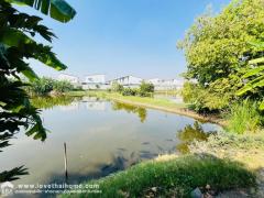 ขายที่ดิน ติดถนนซอยร่มโพธิ์ทอง2 บางกรวย-ไทรน้อย จ.นนทบุรี พื้นที่ 4 ไร่ 3 งาน 39.20 ตรว. แถมบ้านปลูกสร้างเอง 1 หลัง ใกล้ MRT บางพูด,บางรักใหญ่-202502081303541738994634265.jpeg