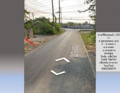 ขายที่ดินถมแล้ว 230 วา ถ.พุทธมณฑล สาย 5 - บางเตย 1 สามพราน นครปฐม ใกล้ ถนนบรมราชชนนี แม็คโคร มหิดล เหมาะปลูกบ้าน อ๊อฟฟิซ โกดัง อื่นๆ-202502081554551739004895161.jpg