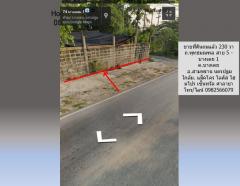 ขายที่ดินถมแล้ว 230 วา ถ.พุทธมณฑล สาย 5 - บางเตย 1 สามพราน นครปฐม ใกล้ ถนนบรมราชชนนี แม็คโคร มหิดล เหมาะปลูกบ้าน อ๊อฟฟิซ โกดัง อื่นๆ-202502081554551739004895956.jpg
