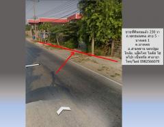 ขายที่ดินถมแล้ว 230 วา ถ.พุทธมณฑล สาย 5 - บางเตย 1 สามพราน นครปฐม ใกล้ ถนนบรมราชชนนี แม็คโคร มหิดล เหมาะปลูกบ้าน อ๊อฟฟิซ โกดัง อื่นๆ-202502081554571739004897333.jpg