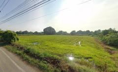 ที่ดิน128ไร่ พื้นที่สีม่วงเข้ม หน้ากว้าง 122ม. ถนนซอยกำนันวิรัตน์ ตำบล คูบางหลวง อำเภอลาดหลุมแก้ว ปทุมธานี  -202502081845431739015143825.jpg