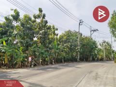 ขายที่ดิน เนื้อที่ 6 ไร่ ปากเกร็ด นนทบุรี-202502091742381739097758789.jpg