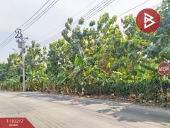 ขายที่ดิน เนื้อที่ 6 ไร่ ปากเกร็ด นนทบุรี-202502091742411739097761141.jpg
