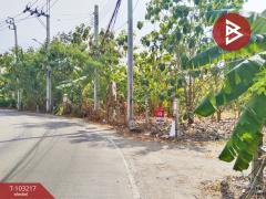 ขายที่ดิน เนื้อที่ 6 ไร่ ปากเกร็ด นนทบุรี-202502091742411739097761900.jpg