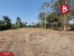 ขายที่ดิน เนื้อที่ 1 ไร่ 1 งาน 60.5 ตร.วา สามพราน นครปฐม-202502101458071739174287438.jpg