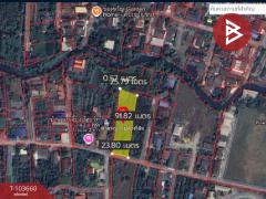 ขายที่ดิน เนื้อที่ 1 ไร่ 1 งาน 60.5 ตร.วา สามพราน นครปฐม-202502101458131739174293137.jpg
