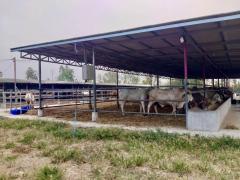 ขายที่ดินพร้อมสิ่งปลูกสร้าง สุพรรณบุรี ดอนเจดีย์ -202502102109551739196595652.jpg