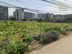 ขายที่ดินทำเลดี อยู่ซอย บางนา-ตราด 40 เยื้องกับเซ็นทรัลบางนา ห่างจากถนนบางนา-ตราด เพียง 200 เมตร -202502111101221739246482954.jpg
