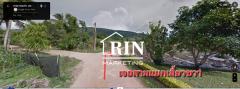 ขายที่ดินเหมาะทำรีสอร์ท  5-0-25 ไร่ ภูเรือ จ.เลย-202502111304081739253848500.jpg