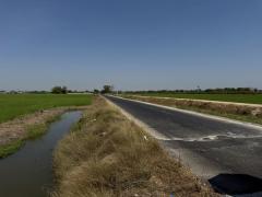 ขายที่ดินซอยคลองแอน34 (รหัสทรัพย์ 202529) ต.คลองสาม อ.คลองหลวง จ.ปทุมธานี-202502121612431739351563778.jpg