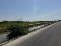 ขายที่ดินซอยคลองแอน34 (รหัสทรัพย์ 202529) ต.คลองสาม อ.คลองหลวง จ.ปทุมธานี-202502121612451739351565008.jpg