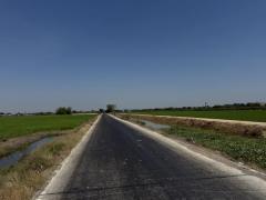 ขายที่ดินซอยคลองแอน34 (รหัสทรัพย์ 202529) ต.คลองสาม อ.คลองหลวง จ.ปทุมธานี-202502121612451739351565630.jpg