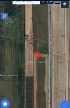 ขายที่ดินซอยคลองแอน34 (รหัสทรัพย์ 202529) ต.คลองสาม อ.คลองหลวง จ.ปทุมธานี-202502121612471739351567468.jpg