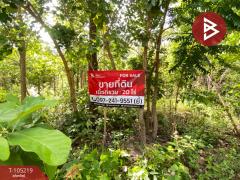 ขายที่ดิน เนื้อที่ 20 ไร่ เถิน ลำปาง-202502131217011739423821304.jpg