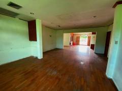 ขาย ที่ดิน N1434 หมู่บ้านเมืองทองการ์เด้นส์ 2 โครงการ 4  343 ตรว-202502131540361739436036344.jpg
