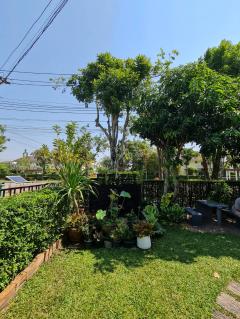 ขายบ้านเดี่ยว หมู่บ้านชัยพฤกษ์ เพชรเกษม81 หลังมุม ขนาดตัวบ้านใหญ่ที่สุดและขนาดที่ดินใหญ่ที่สุด เพิ่งรีโนเวทด้วยวัสดุอย่างดี สวยมากทั้งภายใน ตัวบ้าน และสวน -202502141152421739508762302.jpg