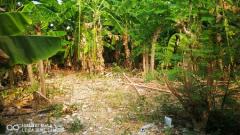 ขาย ที่ดิน ต่ำกว่าราคาประเมิน 234 ตร.วา หมู่บ้านวิโรจน์วิลล์ บางบัวทอง นนทบุรี-202502151052561739591576087.jpg