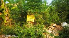 ขาย ที่ดิน ต่ำกว่าราคาประเมิน 234 ตร.วา หมู่บ้านวิโรจน์วิลล์ บางบัวทอง นนทบุรี-202502151052571739591577364.jpg