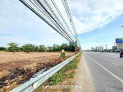 ขายที่ดินทำเลทอง ติดถนนสุขุมวิท ใจกลางเมืองชลบุรี-202502151302071739599327153.jpg