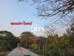 ขายที่ดิน กลางเมือง 120 ตร.ว. ต.เขาสามยอด อ.เมือง ลพบุรี-202502161105311739678731757.jpg