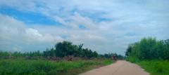ขายที่ดิน 2ไร่ (ขายเงินสด-เงินผ่อน) กู้ได้ -202502161106511739678811722.jpg