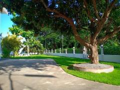 #บ้านสวยโซนสันป่าตอง วิวธรรมชาติ เหมาะทำบ้านพักตากอากาศ ห่างสนามบินเชียงใหม่เพียง 20 นาที-202502171416381739776598968.jpg
