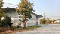 โกดังให้เช่า คลังสินค้าสร้างใหม่ ติดถนน บางนา ใกล้สุวรรณภูมิ ท่าเรือแหลมฉบัง นิคมอมตะนคร-202502171429041739777344251.jpg