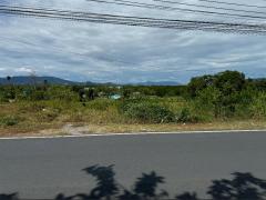 ขายที่ดิน 28 ไร่ 295 ตรว. ถนนเทพประทาน ต.รัษฎา อ.เมืองภูเก็ต จ.ภูเก็ต-202502181007581739848078650.jpg