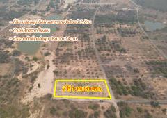 ขายที่ดิน หนองหนาม อำเภอเมืองลำพูน จังหวัดลำพูน-202502181645091739871909878.jpg