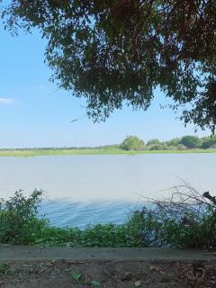 NTG1010 ขายที่ดินริมแม่น้ำน้อย  8 ไร่ 2 งาน 76 ตร.วา จากกรุงเทพฯ - ที่ดิน​ ใช้เวลาประมาณ​ 30 นาที อากาศดี​ เหมาะทำ​ รีสอร์ท​ คาเฟ่ ร้านอาหาร-202502182058351739887115634.jpg