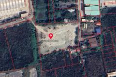 ขายที่ดินถมแล้ว พร้อมปลูกสร้าง 2-3- 50.5 ไร่ ซอยบางกระดี่16 แขวงแสมดำ เขตบางขุนเทียน กรุงเทพ-202502191110211739938221220.jpg