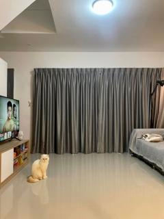 NTG1025 ให้เช่า ทาวน์โฮม บ้านกลางเมือง รามอินทรา ทำเลดี ใกล้ทางด่วนและรถไฟฟ้า ห้าง ร้านอาหาร ของกินเพียบ เลี้ยงสัตว์เล็กได้-202502191952491739969569225.jpg