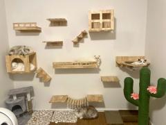 NTG1025 ให้เช่า ทาวน์โฮม บ้านกลางเมือง รามอินทรา ทำเลดี ใกล้ทางด่วนและรถไฟฟ้า ห้าง ร้านอาหาร ของกินเพียบ เลี้ยงสัตว์เล็กได้-202502191952491739969569919.jpg