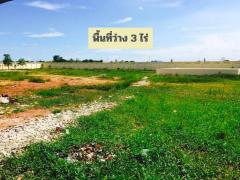 ขายสำนักงานและโกดังใหม่ไม่เคยถูกใช้งาน ที่ดิน 7-1-81ตรว. ปรับเป็นโรงงานได้ ซ.บางกระดี่ 16 บางขุนเทียน กรุงเทพ-202502192135191739975719624.jpg