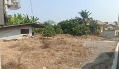 ขายที่ดินเปล่าพร้อมสวนทำการเกษตรหรือปลูกบ้านอาศัย-202502201020511740021651812.jpg