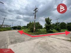 ขายที่ดิน หมู่บ้านกฤษดานคร26 ปิ่นเกล้า-นครชัยศรี นครปฐม-202502201400321740034832858.jpg