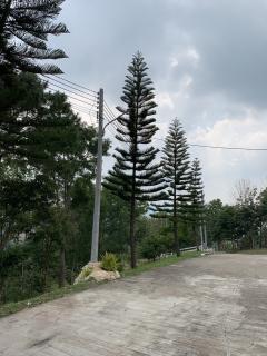 ขาย/ให้เช่า ที่ดินมีโฉนด บนเนินเขา แปลงสวยที่สุดของโครงการ The Peak at Khao Kho-202502210944241740105864968.jpg
