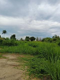 ขาย ที่ดินเปล่า บ้านหนองซอ ตำบลหินเหล็กไฟ อำเภอหัวหิน จังหวัดประจวบคีรีขันธ์-202502211359301740121170982.jpg