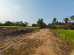 ขายที่ดินเปล่า 200 ตร.ว. พุทธมณฑล นครปฐม ทางเข้ามหาลัยราชภัฎสวนสุนันทา-202502221316281740204988828.jpg