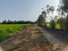 ขายที่ดินเปล่า 200 ตร.ว. พุทธมณฑล นครปฐม ทางเข้ามหาลัยราชภัฎสวนสุนันทา-202502221316291740204989501.jpg