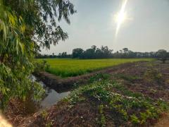 ขายที่ดินเปล่า 200 ตร.ว. พุทธมณฑล นครปฐม ทางเข้ามหาลัยราชภัฎสวนสุนันทา-202502221316301740204990198.jpg