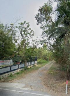 ขายที่ดินเปล่า 200 ตร.ว. พุทธมณฑล นครปฐม ทางเข้ามหาลัยราชภัฎสวนสุนันทา-202502221316321740204992249.jpg