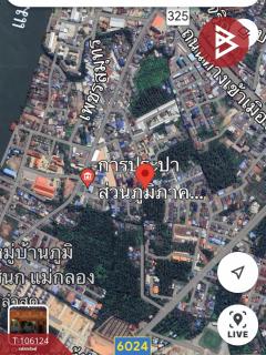 ขายบ้านเดี่ยว ซ.ขุนปรกปราบพาล เนื้อที่ 70 ตร.วา แม่กลอง สมุทรสงคราม-202502231503331740297813921.jpg