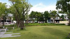 ให้เช่า ทาวน์โฮม M847 The Connect Pattanakarn 38 119 ตรม 21 ตรว-202502240954431740365683455.jpg