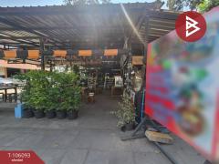 ขายที่ดินพร้อมสิ่งปลูกสร้าง เนื้อที่ 4 ไร่ บางกระเจ้า สมุทรสาคร-202502241144441740372284126.jpg