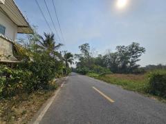 ขายที่ดิน แปลงสวย เนื้อที่ 100 ตรว. ติดถนนซอย 29 ตะวันตก (คลองหลวง) ปทุมธานี #LB281 – 000962-202502241221591740374519948.jpg