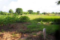 ขาย ที่ดิน เมืองเพชรบูรณ์ 7 ไร่ 3 งาน 27.6 ตร.วา ติดถนนสาธารณะ เหมาะทำบ้านสวนเกษตร-202502250813241740446004378.jpg